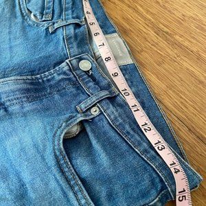 Everlane Mid-Rise Skinny Jean (Mid Blue, Ankle, Size 28)